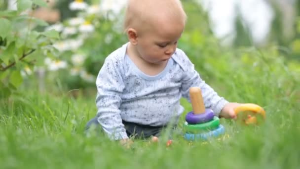 Cute Toddler Child Boy Playing Colorful Rings Garden Springtime Backyard — Stock Video