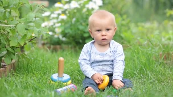 Schattig Peuter Kind Jongen Spelen Met Kleurrijke Ringen Tuin Lente — Stockvideo