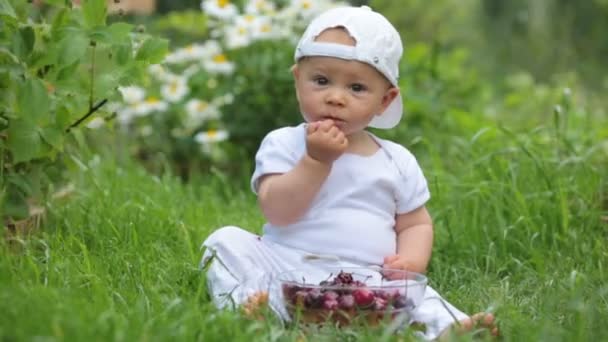 甘い小さな子供 男の子 庭のさくらんぼを食べて おいしい果物を楽しんで 汚れない — ストック動画