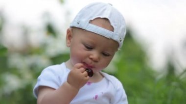 Tatlı küçük çocuk, Bebek Çocuk, kiraz bahçesinde yemek, lezzetli meyve zevk, kirli elde