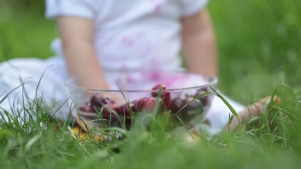 可爱的孩子 小男孩 在花园里吃樱桃 享受美味的水果 变得肮脏 — 图库视频影像