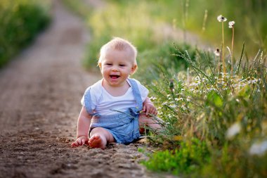 Tatlı yürümeye başlayan çocuk, çocuk, doğa günbatımı üzerinde keşfetmek kırsal bir yolda oturan
