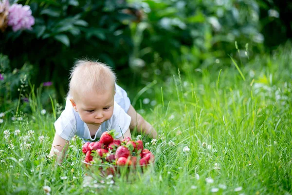 Schattig Peuter Kind Jongen Eten Van Aardbeien Een Tuin Lente — Stockfoto