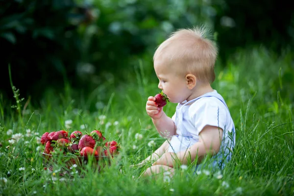 Niedliches Kleinkind Erdbeeren Essen Garten Frühling — Stockfoto