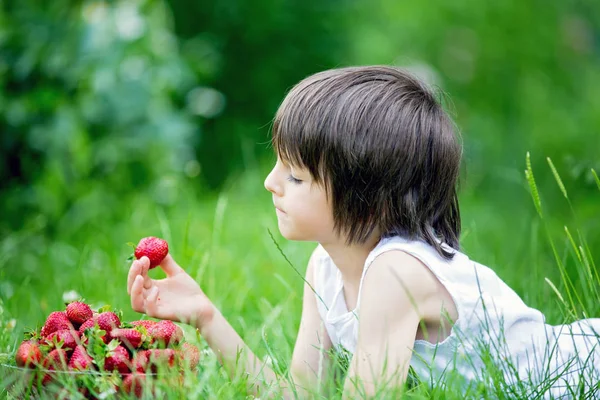 Niño Lindo Preescolar Niño Comer Fresas Jardín Verano — Foto de Stock