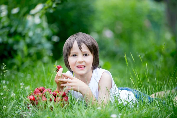 Criança Pré Escolar Bonito Menino Comer Morangos Jardim Verão — Fotografia de Stock