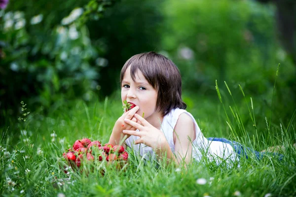 Ładny Przedszkola Dziecko Chłopiec Jeść Truskawki Letnim Ogrodzie — Zdjęcie stockowe