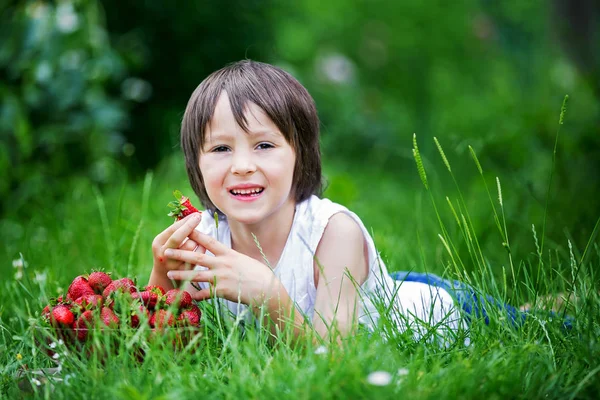 Bambino Età Prescolare Carino Ragazzo Mangiare Fragole Giardino Estate — Foto Stock