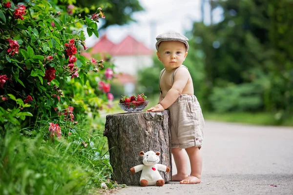 Dulce Niño Niño Pequeño Disfrutando Tazón Sabrosas Fresas Recién Recogidas — Foto de Stock