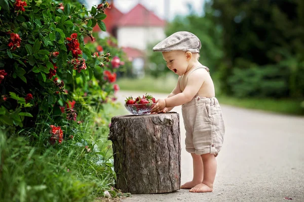 Süßes Kind Kleiner Junge Genießt Eine Schüssel Mit Leckeren Frisch — Stockfoto