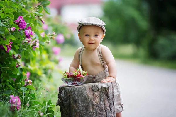 Солодка Дитина Маленький Хлопчик Насолоджується Мискою Смачної Свіжоспеченої Полуниці Літній — стокове фото