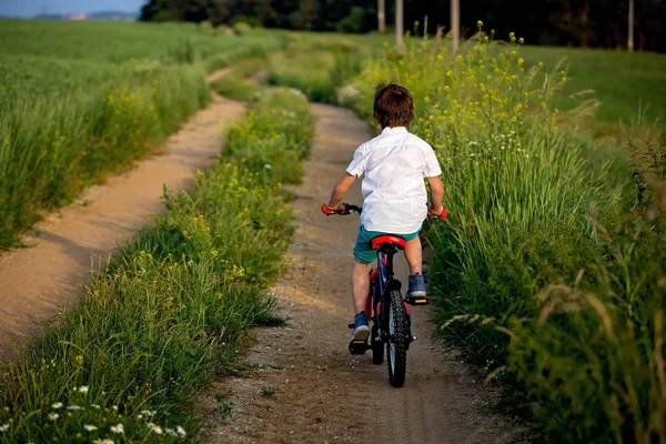 Sportliche Kinder Junge Brüder Die Bei Sonnenuntergang Gemeinsam Auf Dem — Stockfoto