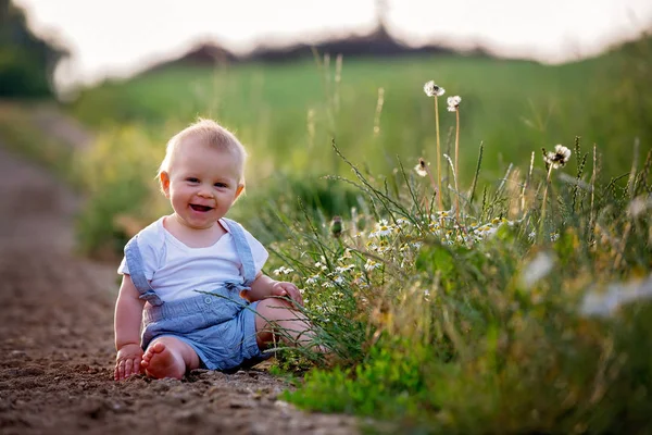 Niño Dulce Niño Sentado Camino Rural Explorando Naturaleza Atardecer — Foto de Stock