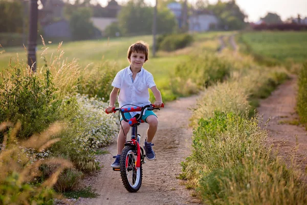 Sporty Children Boy Brothers Riding Bikes Rural Landscape Together Sunset — Stock Photo, Image
