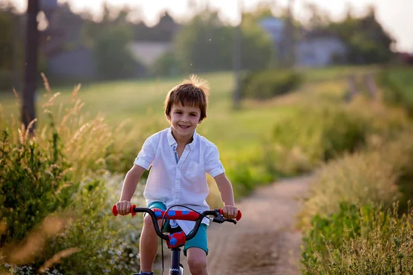 Crianças Esportivas Irmãos Meninos Andar Bicicleta Uma Paisagem Rural Juntos — Fotografia de Stock