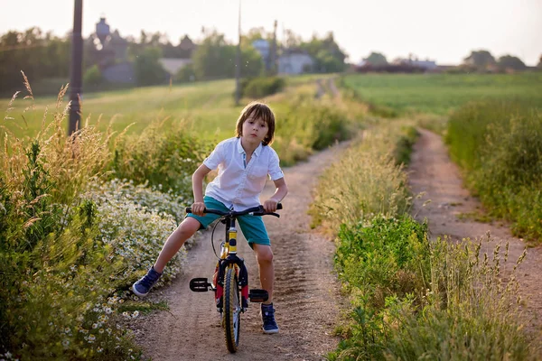 Sportliche Kinder Junge Brüder Die Bei Sonnenuntergang Gemeinsam Auf Dem — Stockfoto