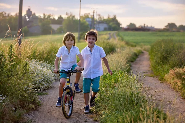 Спортивні Діти Брати Хлопчики Їзда Велосипедах Сільському Пейзажі Разом Заході — стокове фото