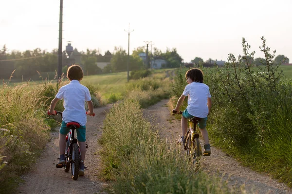 Sportieve Kinderen Jongen Broers Paardrijden Fietsen Een Landelijke Landschap Samen — Stockfoto