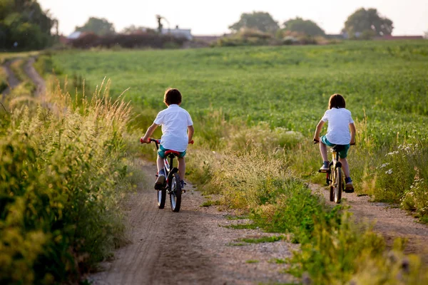 Sporty Children Boy Brothers Riding Bikes Rural Landscape Together Sunset — Stock Photo, Image