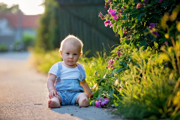 Schattig Peuter Jongen Zittend Straat Zonsondergang Spelen Met Mooie Bloemen — Stockfoto