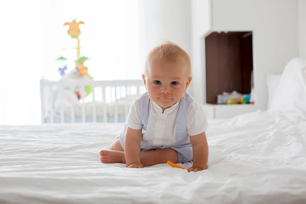 Feliz Bebé Comer Cenoura Nutrição Saudável Para Crianças Bio Cenoura — Fotografia de Stock