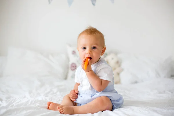 Ευτυχισμένο Μωρό Τρώει Καρότο Υγιεινή Διατροφή Για Παιδιά Βιο Καρότο — Φωτογραφία Αρχείου