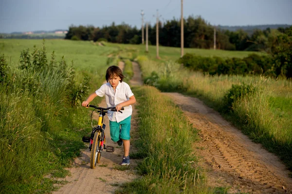 Bambini Sportivi Fratelli Maschi Andare Bicicletta Paesaggio Rurale Insieme Tramonto — Foto Stock