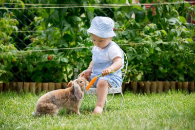 Sevimli küçük bebek çocuk, çocuk parkı, açık havada havuç ile küçük tavşan besleme