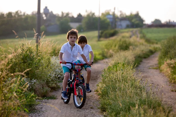 Sportieve Kinderen Jongen Broers Paardrijden Fietsen Een Landelijke Landschap Samen — Stockfoto