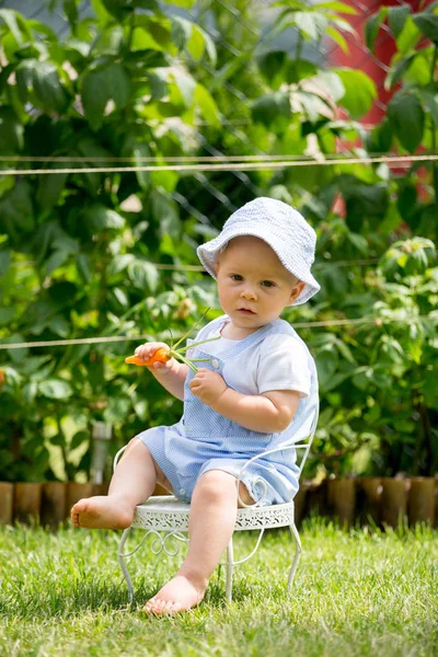 Mignon Petit Garçon Enfant Nourrissant Petit Lapin Avec Des Carottes — Photo