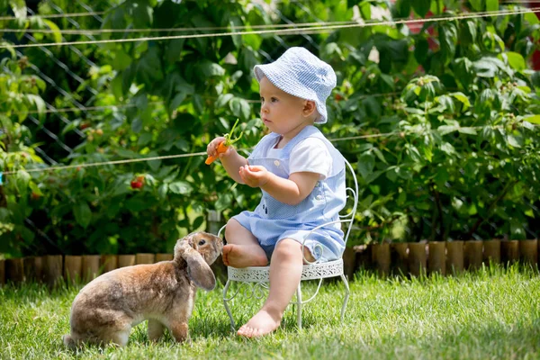 Ragazzino Carino Bambino Che Nutre Coniglietto Con Carote Nel Parco — Foto Stock