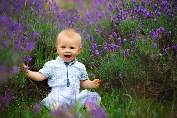 Feliz Menino Sorridente Campo Verão Lavanda — Fotografia de Stock