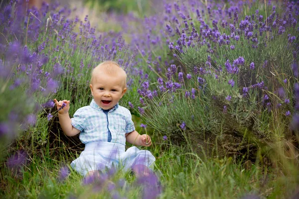 Boldog Mosolygó Baby Boy Levendula Nyári Mező — Stock Fotó