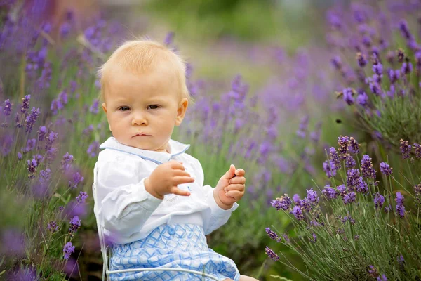 Lyckligt Leende Pojke Sitter Vintage Stol Sommar Lavendelfält — Stockfoto