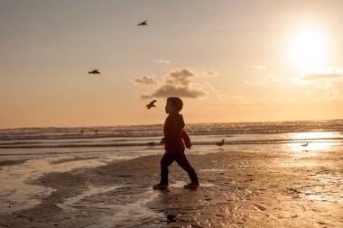 Sevimli çocuk, evlat, sahilde, martılar izlerken günbatımı zamanı