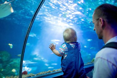 Küçük çocuk, Çocuk balık oceanarium, sualtı Aquariu hayatta zevk çocuk yüzme balık izlerken