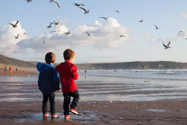 Due Adorabili Bambini Che Danno Mangiare Gabbiani Sulla Spiaggia Ora — Foto Stock