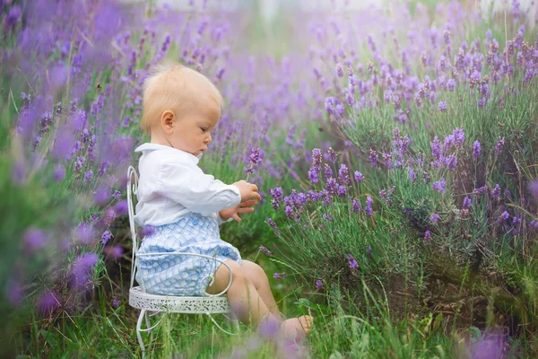 Feliz Menino Sorridente Sentado Cadeira Vintage Campo Verão Lavanda — Fotografia de Stock