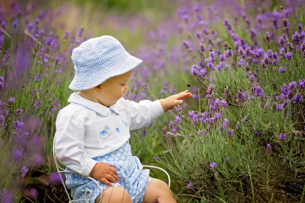 Lyckligt Leende Pojke Sitter Vintage Stol Sommar Lavendelfält — Stockfoto