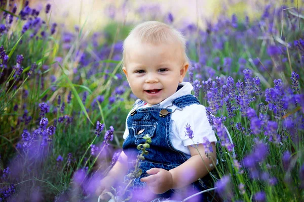 Doce Criança Panos Casuais Sentado Campo Lavanda Sorrindo Alegremente — Fotografia de Stock