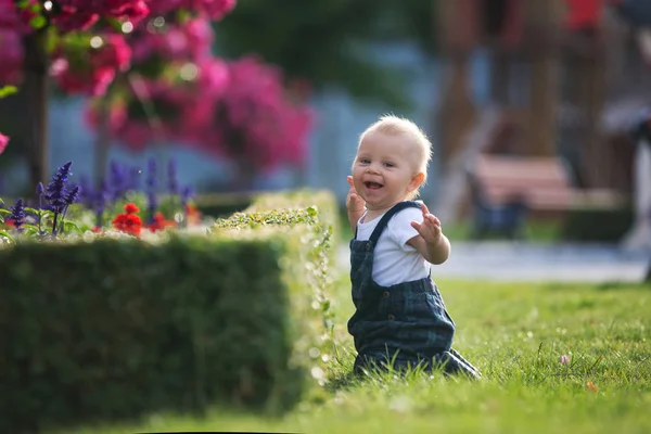 귀여운 어린이 정원에서 — 스톡 사진