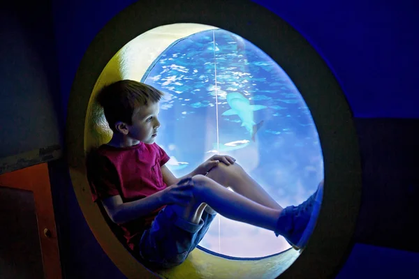 Мальчик Ребенок Смотрящий Стаю Рыб Плавающих Океанариуме Дети Наслаждающиеся Подводной — стоковое фото