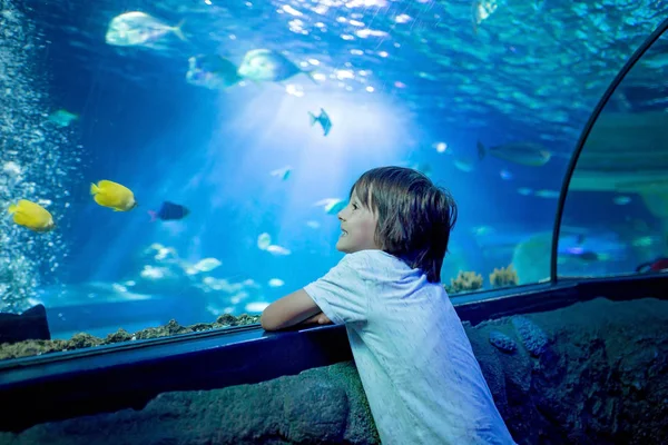 小さな男の子が 水槽で水中生活を楽しむ子どもたち 水族館で泳いでいる魚の群れを見ている子供 — ストック写真