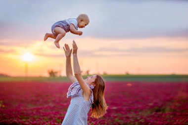 Kızıl yonca alanında, eğlenmek aile todller oğlu tutan genç anne togther