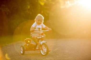 Üç tekerlekli bisiklet arka bahçesinde, çocuk binicilik bisiklet günbatımı ile oynayan sevimli yürümeye başlayan çocuk, çocuk,