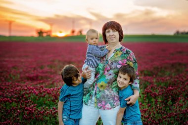 Güzel çocuk muhteşem Kızıl yonca alanında günbatımı, Bahar