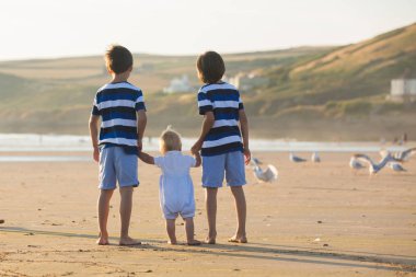 Çocuklar, güzel çocuk kardeşler, izlemek ve martılar sahilde sunset Bulvarında besleme