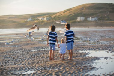 Çocuklar, güzel çocuk kardeşler, izlemek ve martılar sahilde sunset Bulvarında besleme