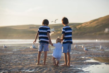 Children, beautiful boy brothers, watching and feeding seagulls on the beach on sunset clipart