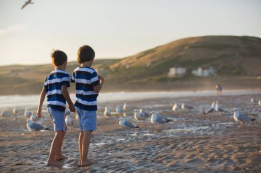 Çocuklar, güzel çocuk kardeşler, izlemek ve martılar sahilde sunset Bulvarında besleme